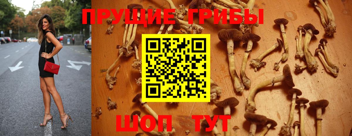 Галлюциногенные грибы GOLDEN TEACHER  Вход с VPN  Краснокаменск 